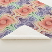 コンテンポラリー抽象芸術 シェルパブランケット (3/4)