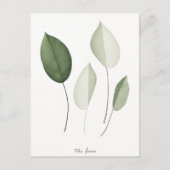 コンテンポラリー葉ミニマルデザイン葉書 ポストカード (正面)