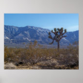 コントラスト ポスター (正面)