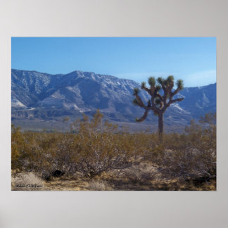 コントラスト ポスター