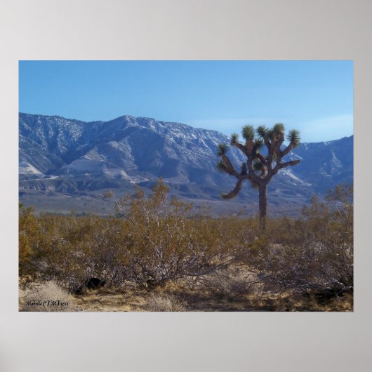 コントラスト ポスター (正面)