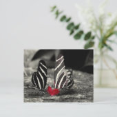 コントラスト ポストカード (スタンド正面)