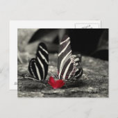 コントラスト ポストカード (正面/裏面)