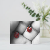 コントラスト ポストカード (スタンド正面)