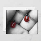 コントラスト ポストカード (正面/裏面)