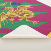 コントラダデルドラゴ（ドラゴン）パリオディシエナ シェルパブランケット (3/4)