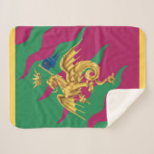 コントラダデルドラゴ（ドラゴン）パリオディシエナ シェルパブランケット (正面(横))