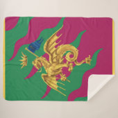 コントラダデルドラゴ（ドラゴン）パリオディシエナ シェルパブランケット (正面(横))