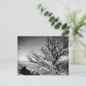 コントレイルはがき付きツリー ポストカード (スタンド正面)