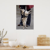 コントロールを失う ポスター (キッチン)