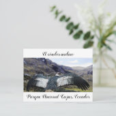 コンドルアンディノポストカード ポストカード (スタンド正面)