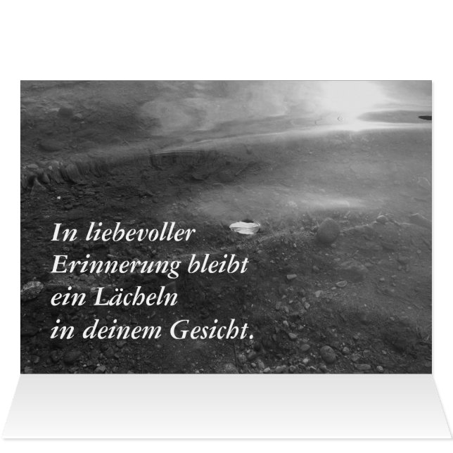 コンドルネンカルテ (内部横(上))