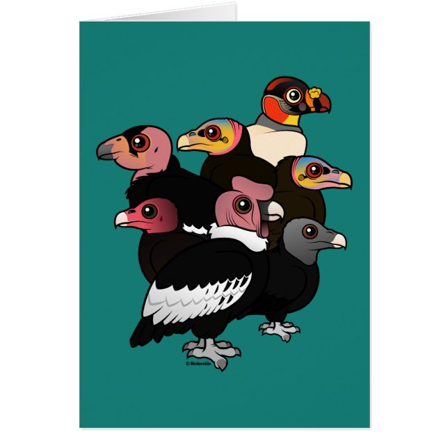 コンドル亜科 (正面)