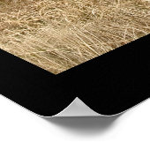 コンネマラのポニー。cARTerARTによるポスター ポスター (角)