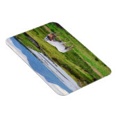 コンネマラの馬 |ゴールウェイ（アイルランド） マグネット (右側)