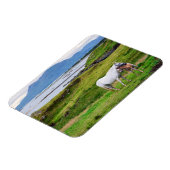 コンネマラの馬 |ゴールウェイ（アイルランド） マグネット (左側)