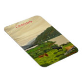 コンネマラアイルランド風光明媚な牛の農場と馬 マグネット (右側)