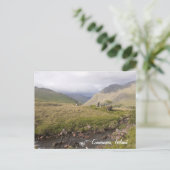 コンネマラ・アイルランド シーズンポストカード (スタンド正面)