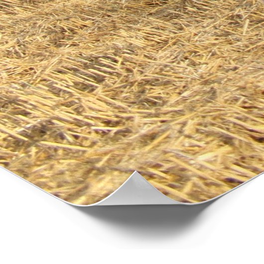 コンバイン ポスター (角)