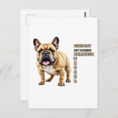 コンパクトだが、深刻な短剣を詰め込む ポストカード (正面/裏面)