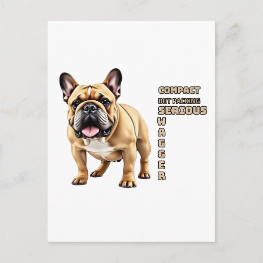 コンパクトだが、深刻な短剣を詰め込む ポストカード (正面)