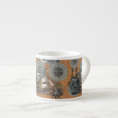 コンパスバラヴィンテージ航海のタコ船 エスプレッソカップ (正面右)