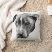 コンパニオンポートレート クッション (ブランケット)