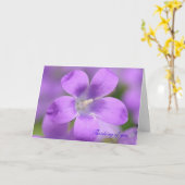 コンパニューラ。お考え前のカード カード (黄色い花)