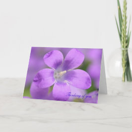 コンパニューラ。お考え前のカード カード