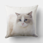 コンピュータのキーボードのRagdoll猫 クッション (裏面)