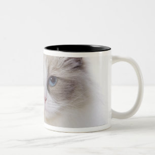 コンピュータのキーボードのRagdoll猫 ツートーンマグカップ