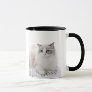 コンピュータのキーボードのRagdoll猫 マグカップ