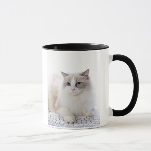 コンピュータのキーボードのRagdoll猫 マグカップ (右)