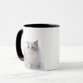 コンピュータのキーボードのRagdoll猫 マグカップ (正面左)