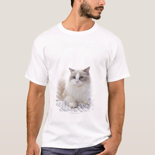 コンピュータのキーボードのRagdoll猫 Tシャツ (正面)
