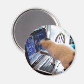 コンピュータの猫マグネット マグネット (正面/裏面)