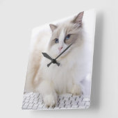 コンピュータキーボードのラグドール猫 スクエア壁時計 (傾斜)