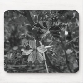 コンピュータデスクマウスパッドアート&デザイン マウスパッド