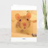 コンピュータラット カード (裏面)