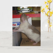 コンピュータラット カード (黄色い花)