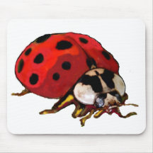 コンピューターマウス