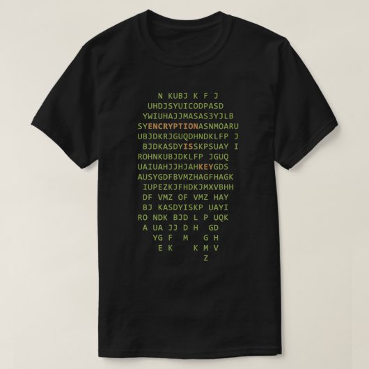 コンピュータ科学者ハッカー暗号化は鍵プログラム Tシャツ (デザイン正面)