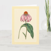 コンフロアーイラストレーション 空白の カード (正面)