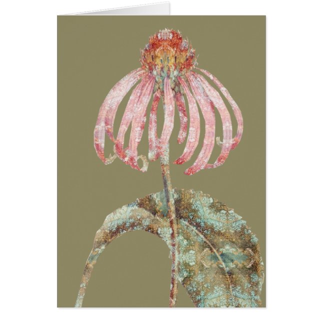 コンフロアー (正面)