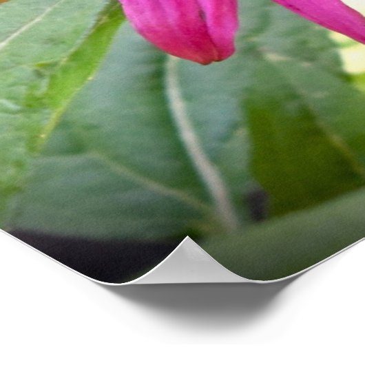 コンフロアー ポスター (角)