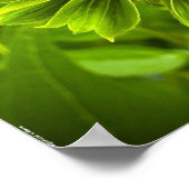 コンフロアー ポスター (角)