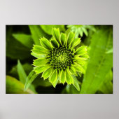 コンフロアー ポスター (正面)