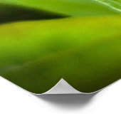 コンフロアー ポスター (角)