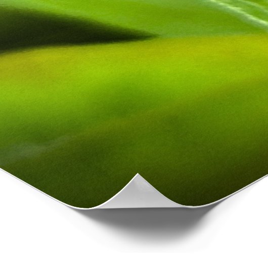 コンフロアー ポスター (角)