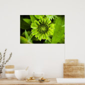 コンフロアー ポスター (キッチン)